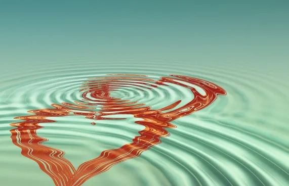 WinFest Casino Soporte